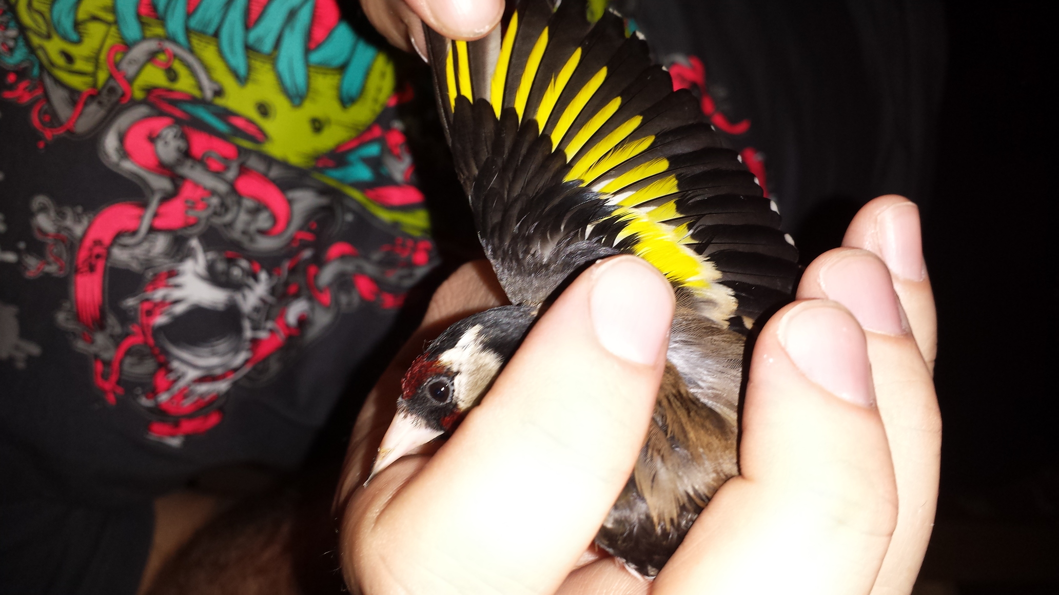 20140130_220900.jpg