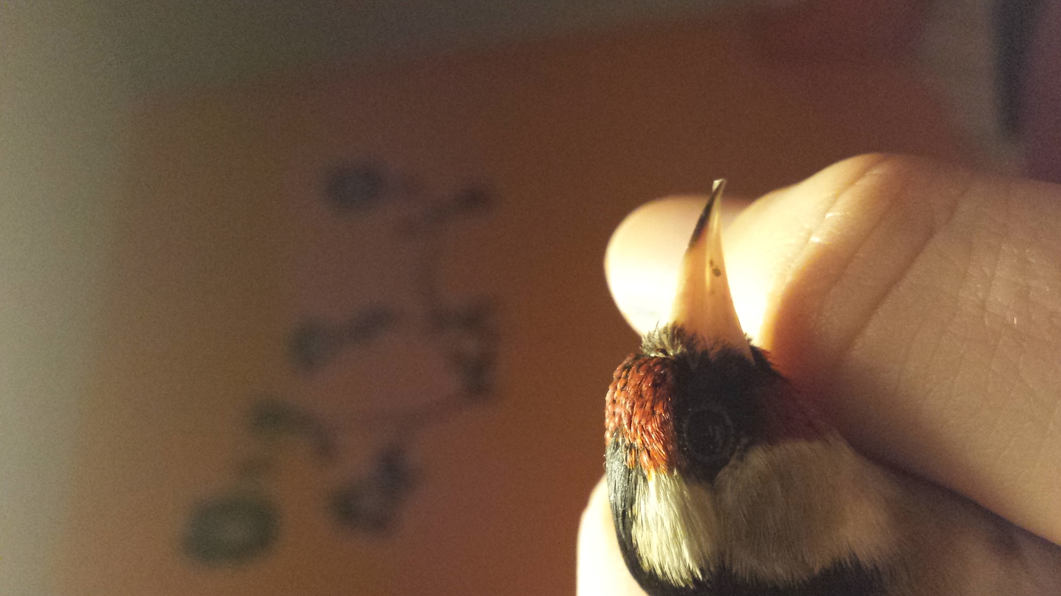 20140130_220845.jpg