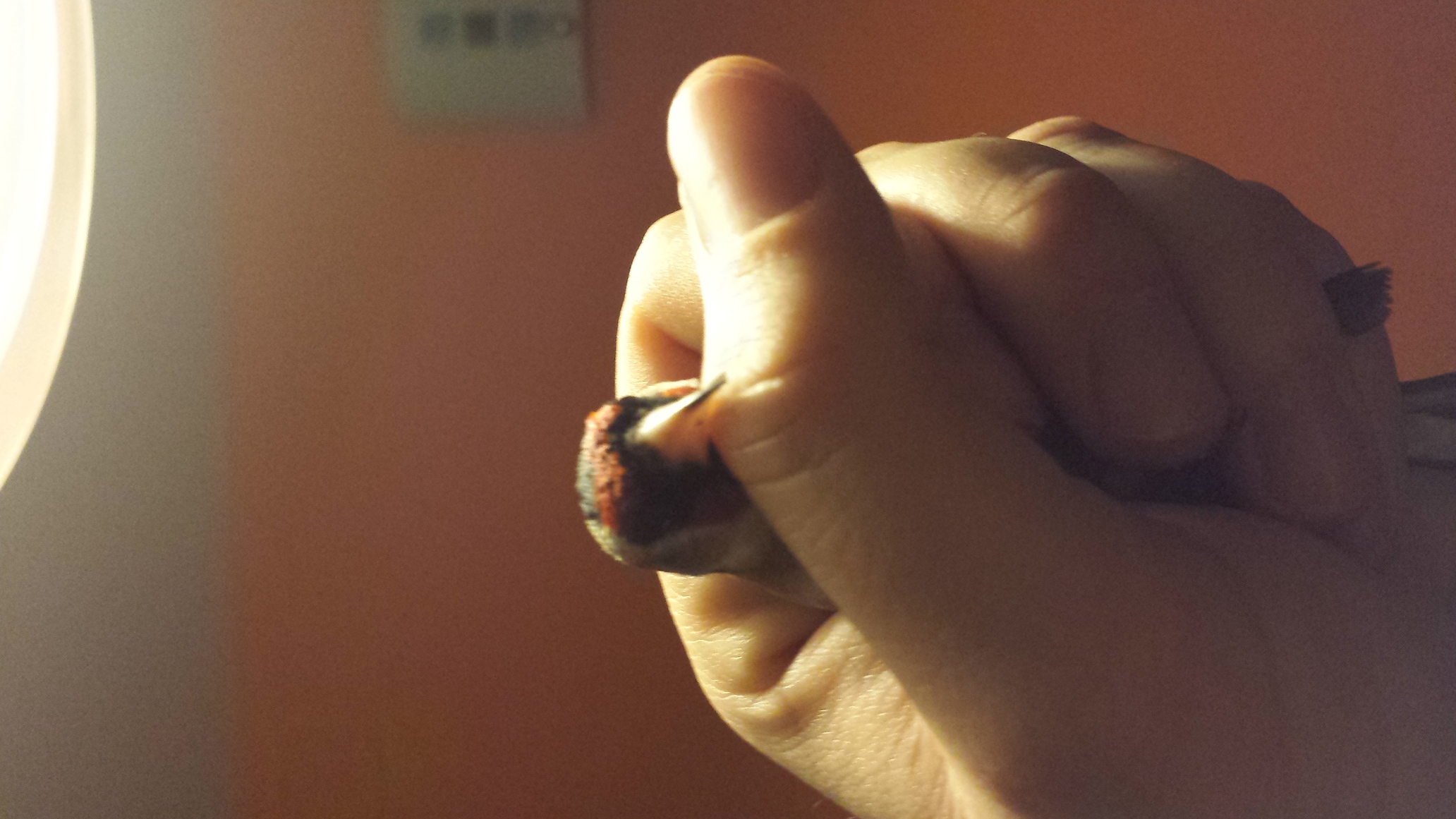 20140130_220834.jpg