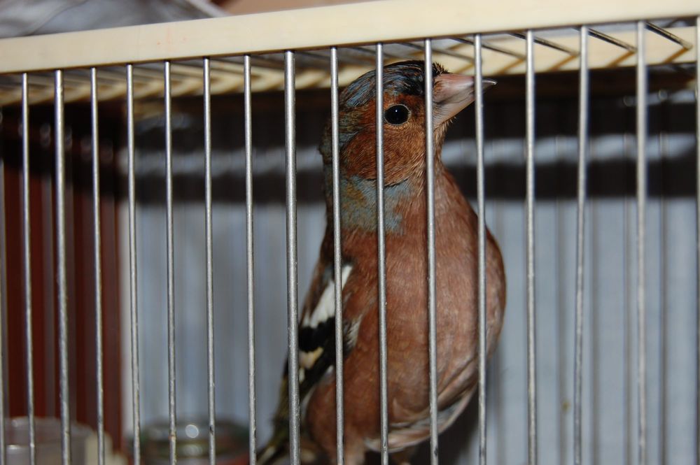 DSC_0479.JPG