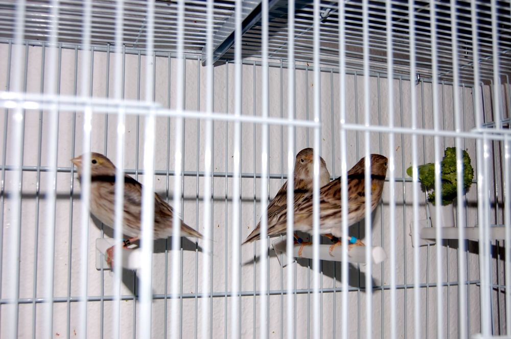 DSC_0435.JPG