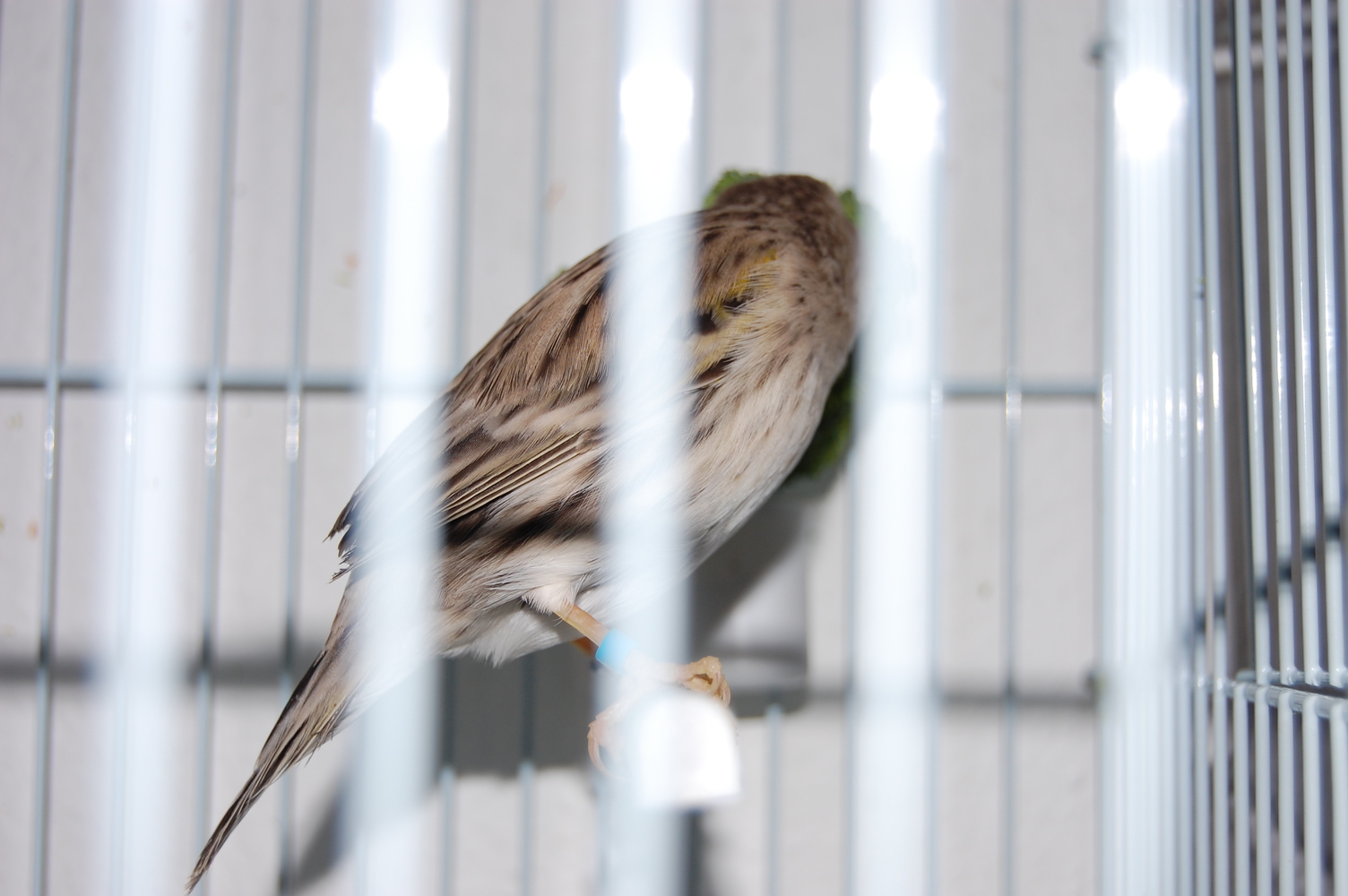 DSC_0470.JPG