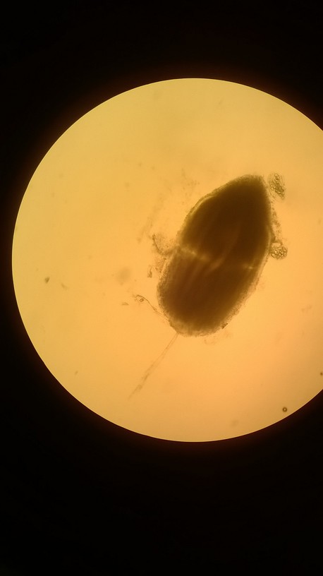 WP_20140201_008.jpg