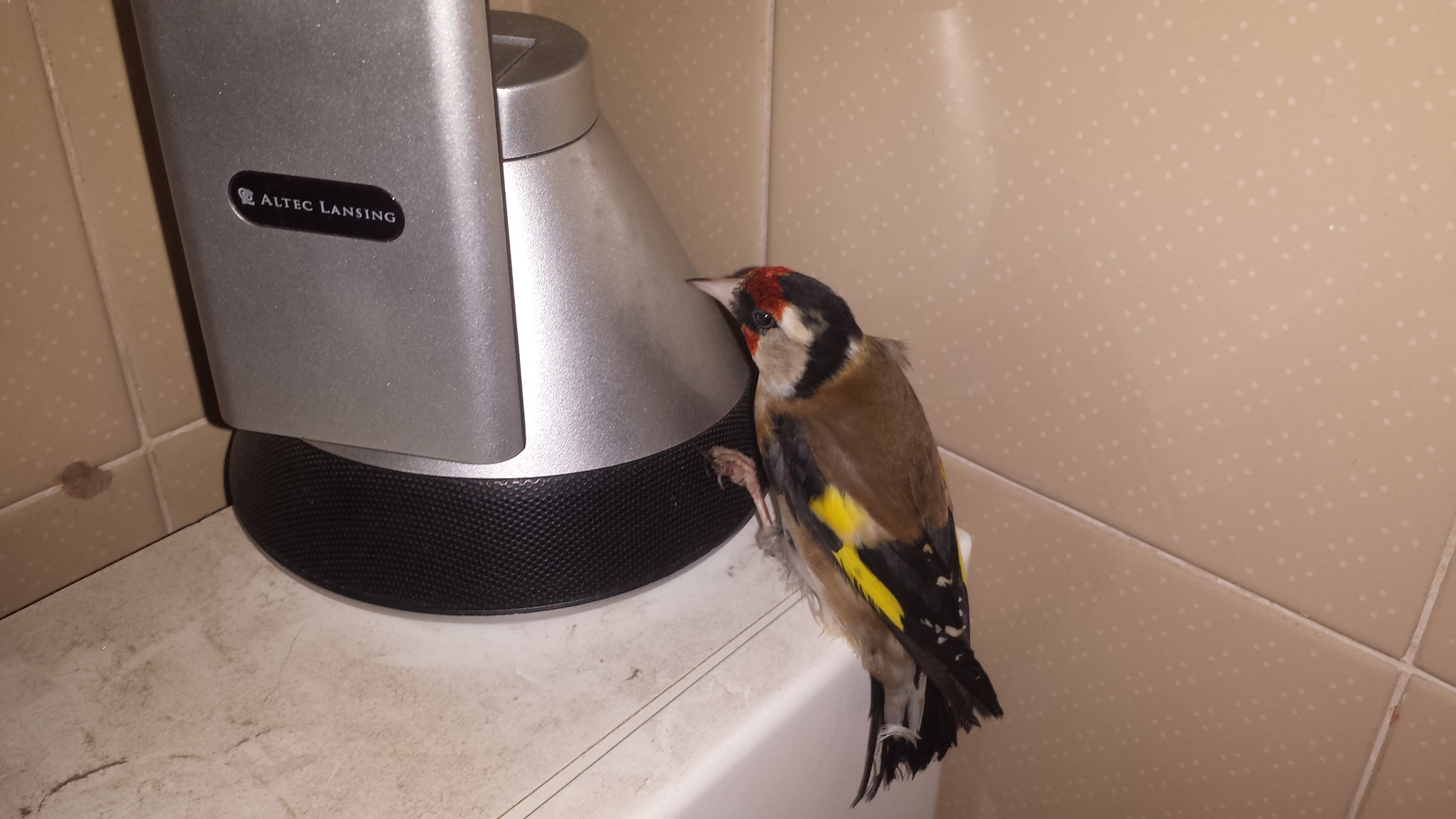 20140131_191243.jpg