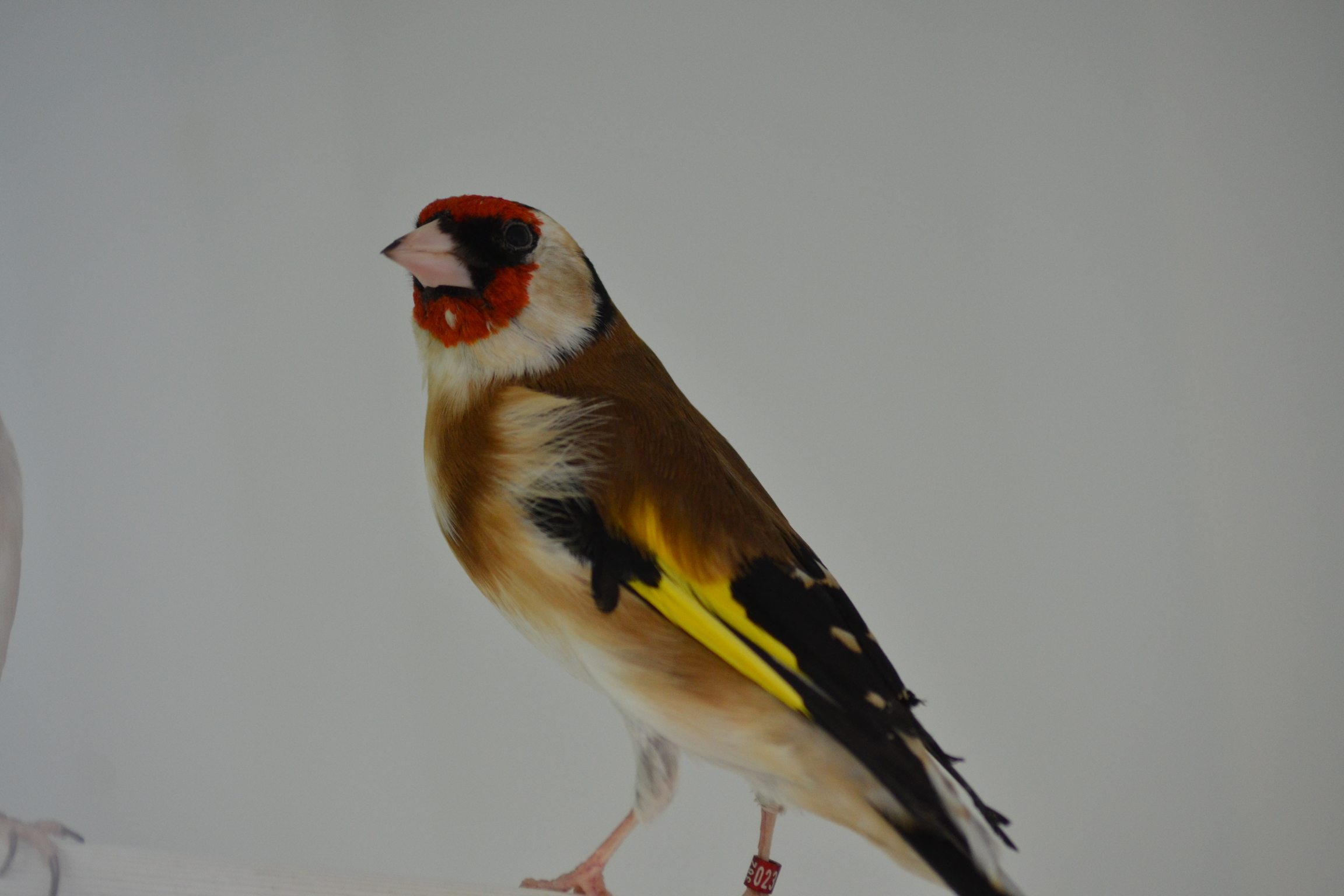 DSC_0618.JPG