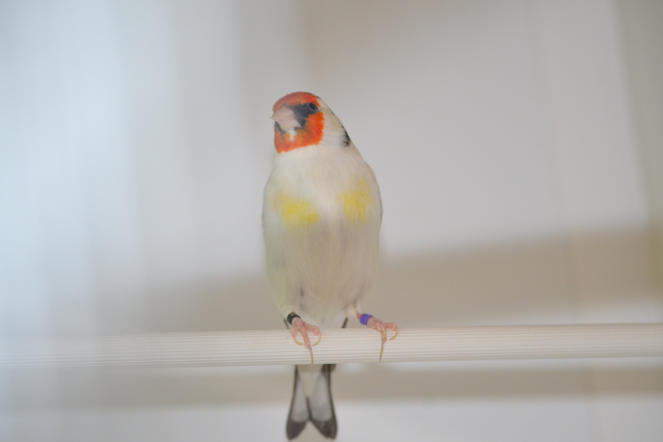 DSC_0625.JPG