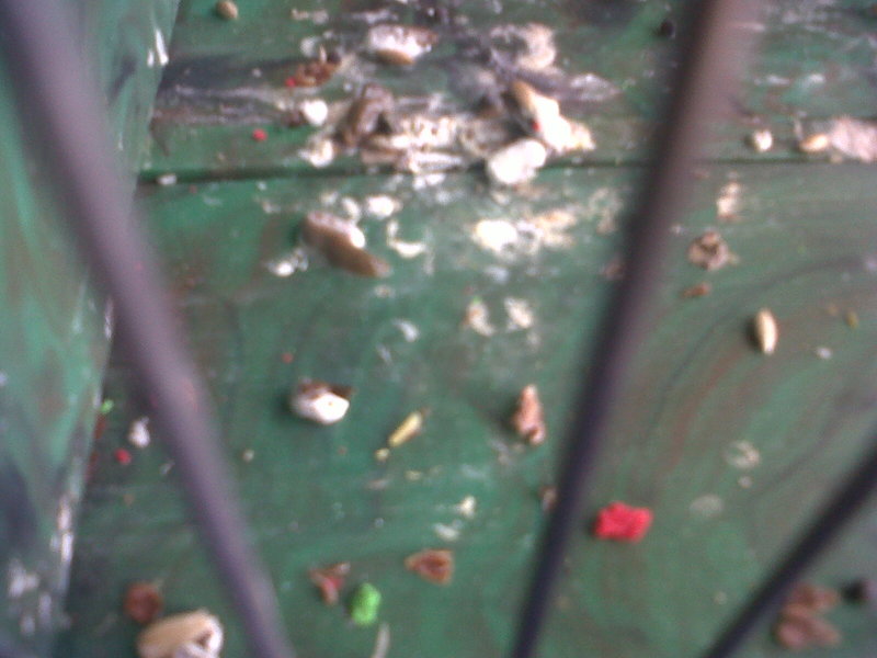 IMG00179-20140203-1510.jpg