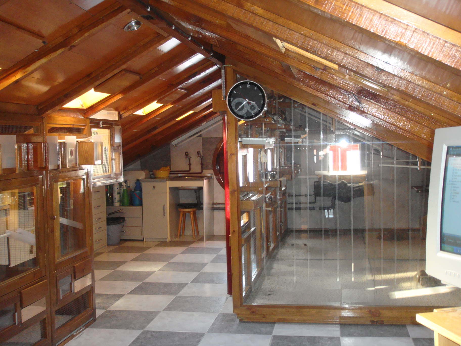foto pajarera interior