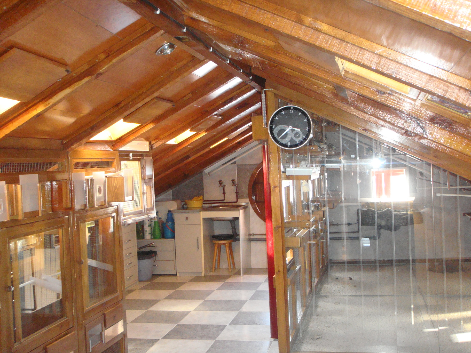 pajarera interior
