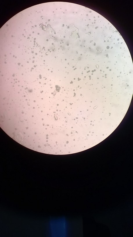 WP_20140208_030.jpg