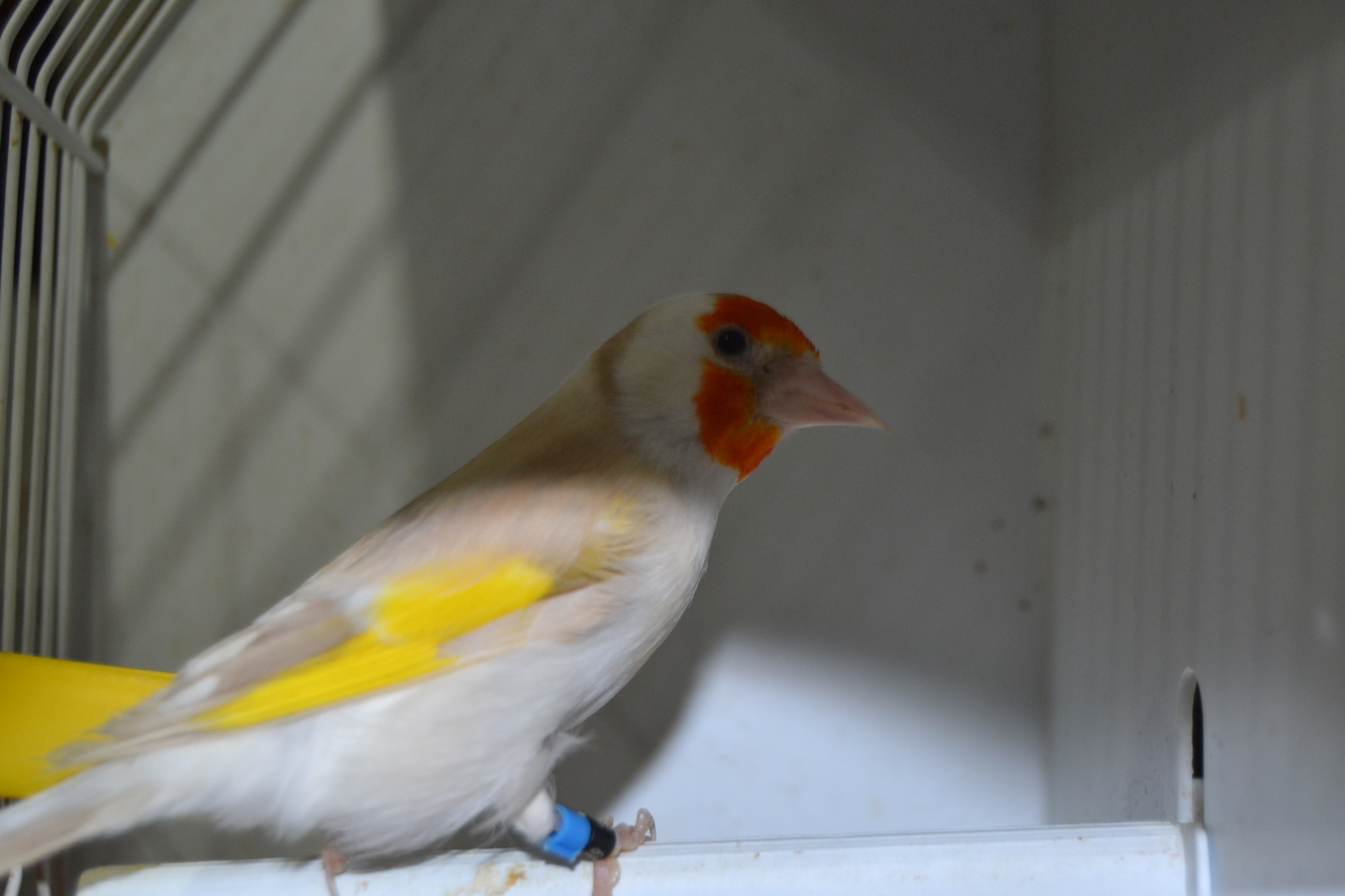 DSC_0107.JPG