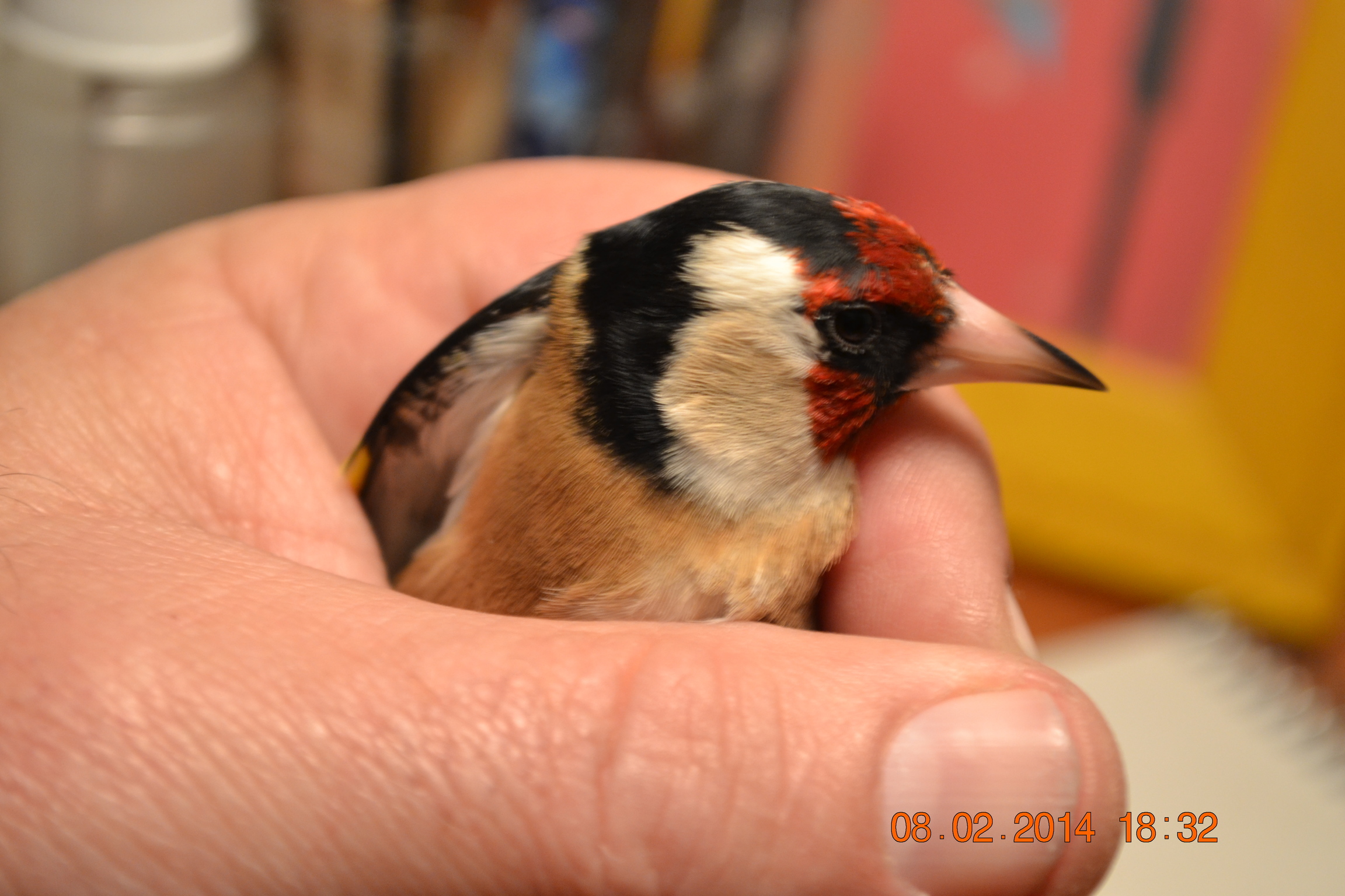 DSC_0046.JPG