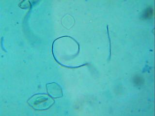 Imagen 067.jpg