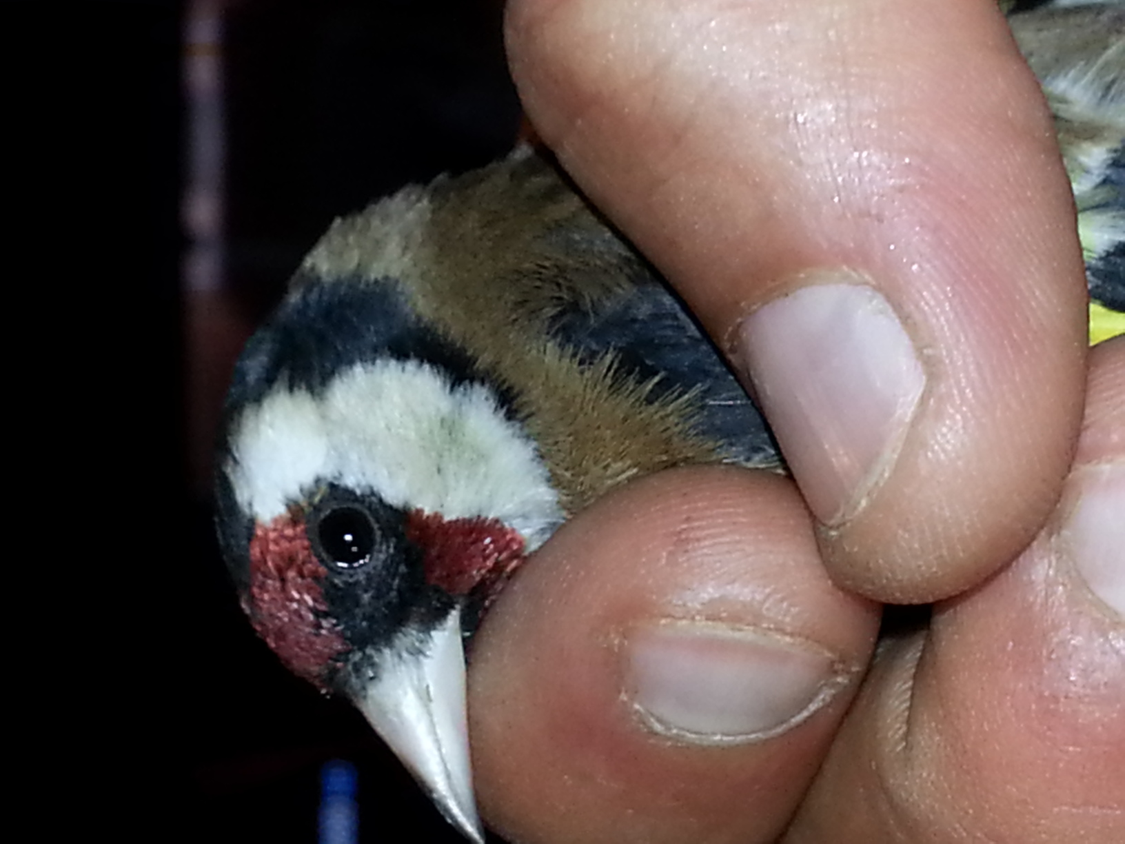 20140210_182948.jpg