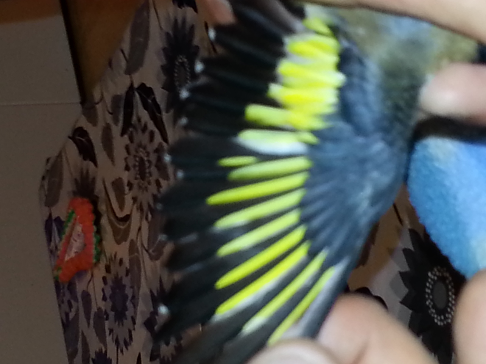 20140210_183021.jpg