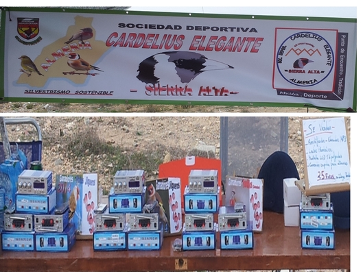 concurso 2014 3.jpg