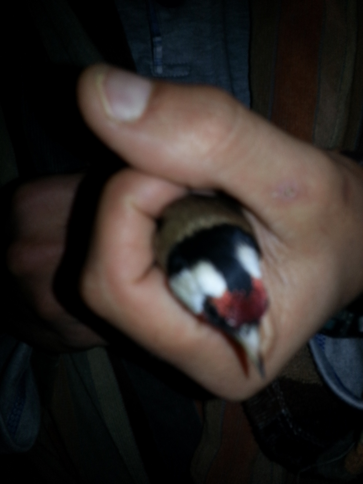 20140211_144244.jpg