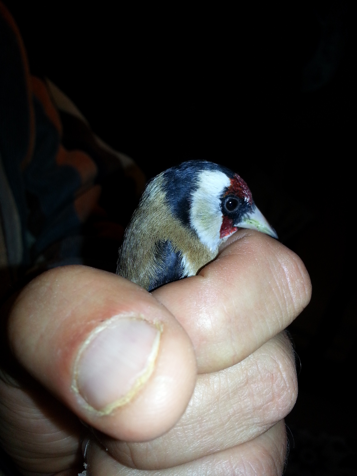 20140211_144329.jpg