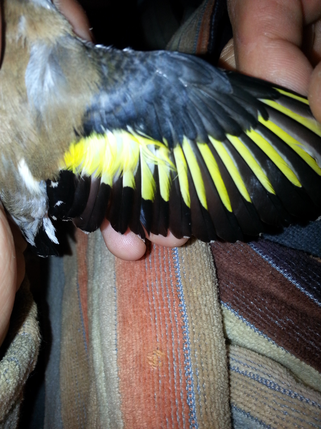 20140211_144359.jpg
