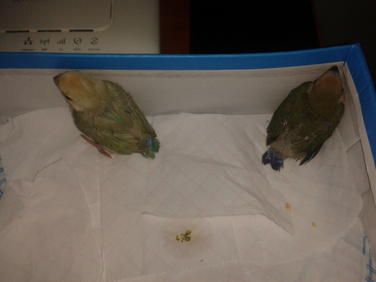 IMG-20140214-WA0002.jpg