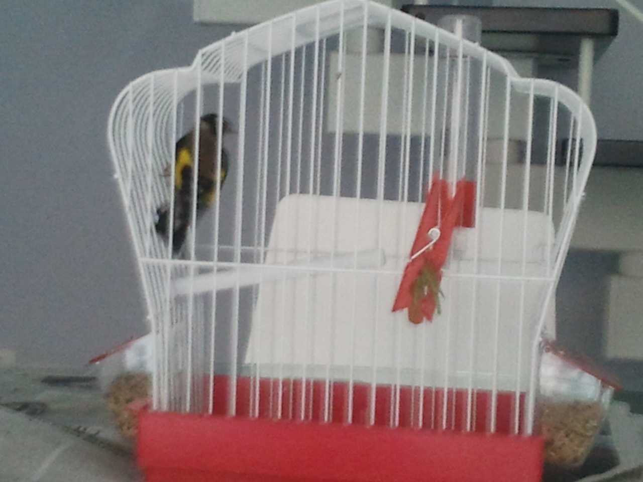 Siento la mala calidad pero la he sacado con el móvil.