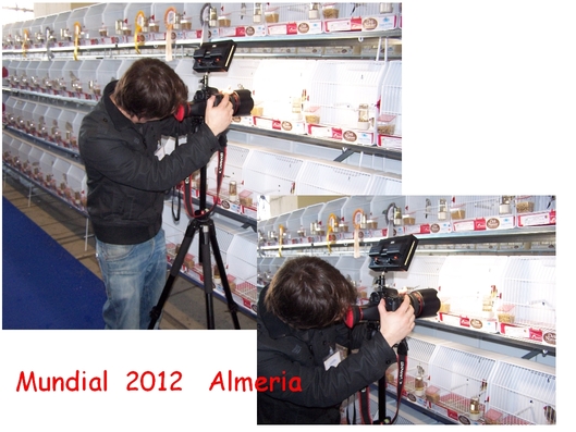 fotografo mundial 3.jpg