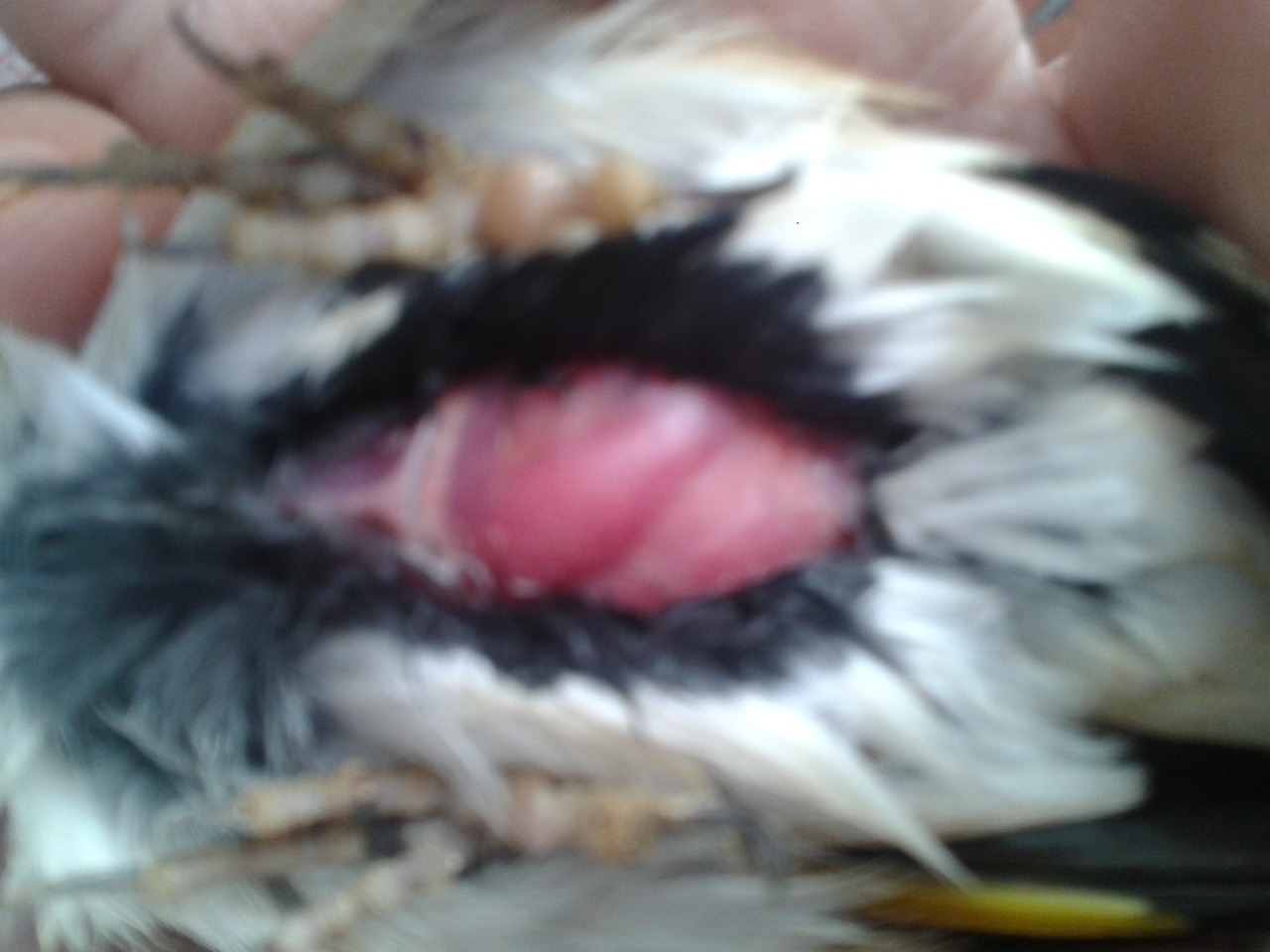 2014-02-20 10.29.47.jpg