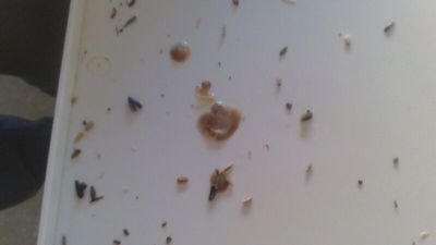 IMG-20140221-WA0007.jpg