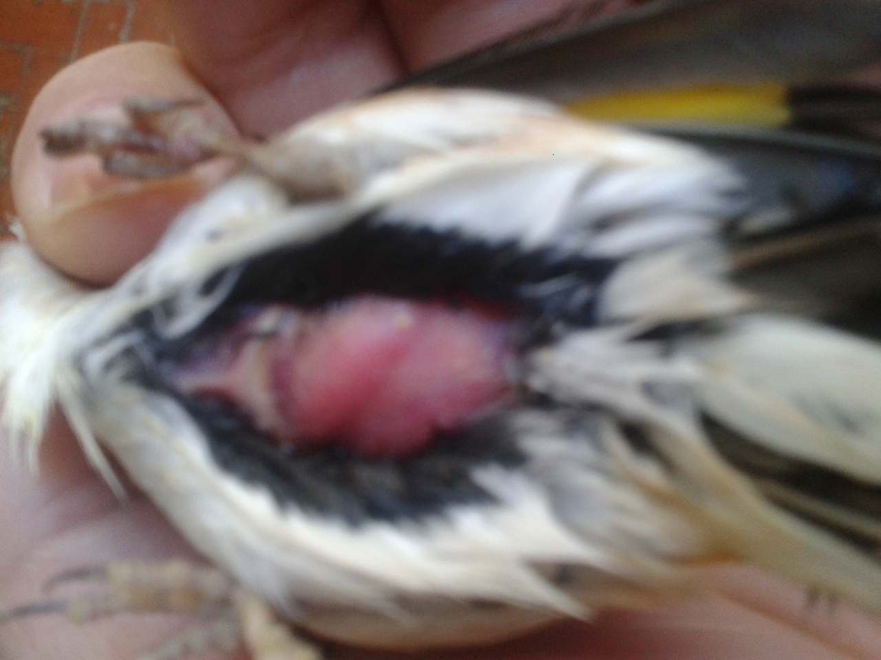 2014-02-22 10.01.46.jpg