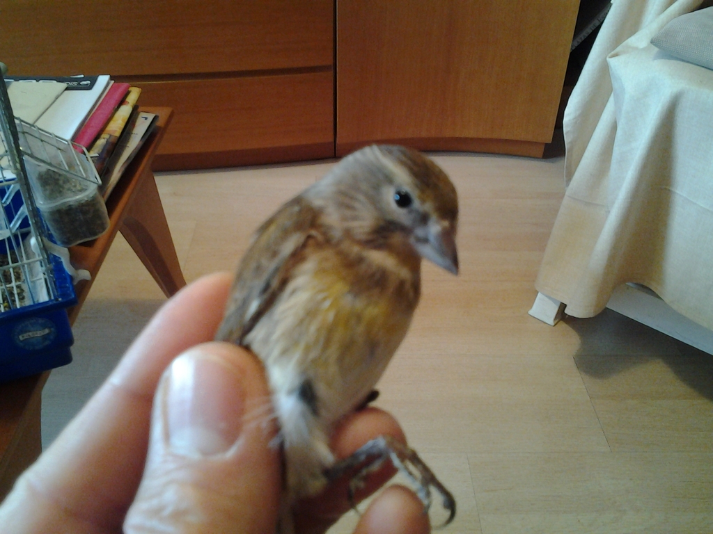 20140218_150604.jpg