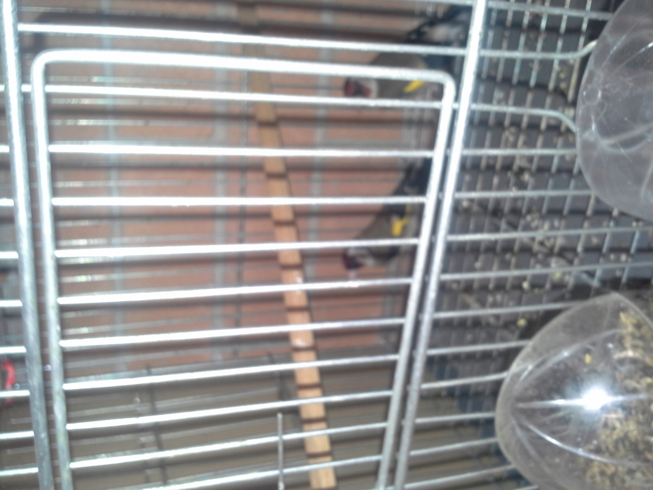 20140223_153352.jpg
