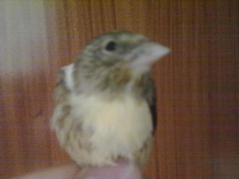 13042011396.jpg