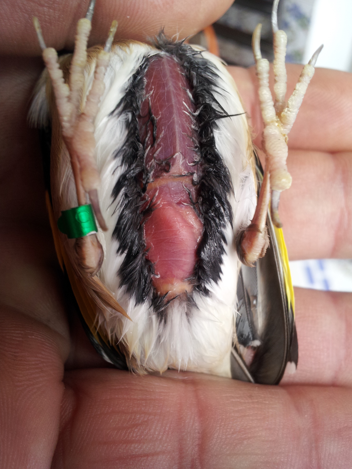 20140224_171642.jpg