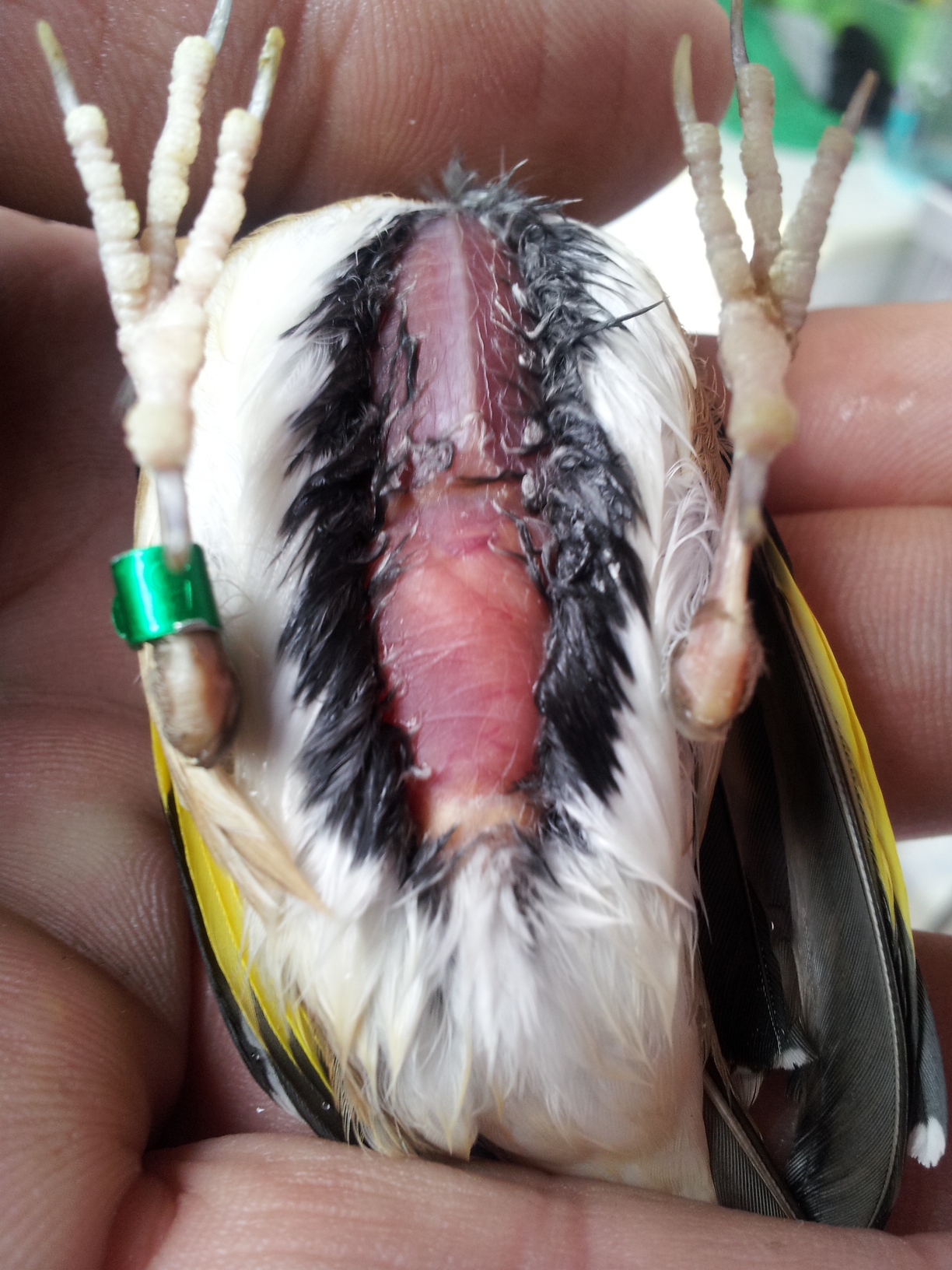 20140224_171700.jpg