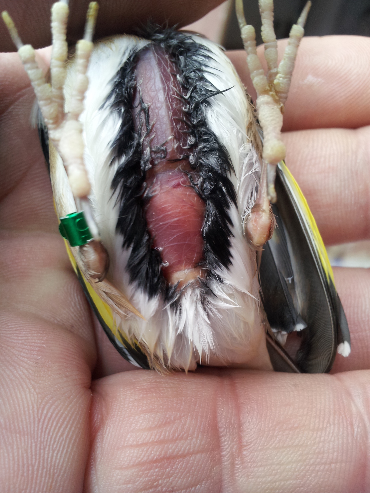 20140224_171722.jpg