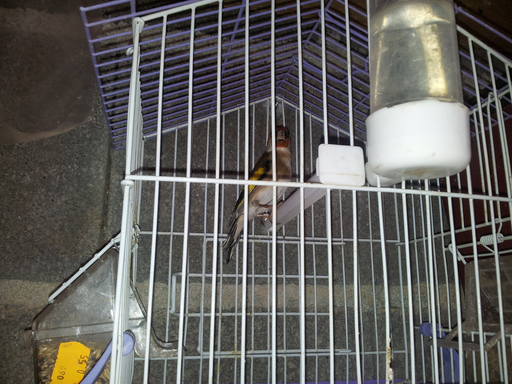 20140225_115245.jpg