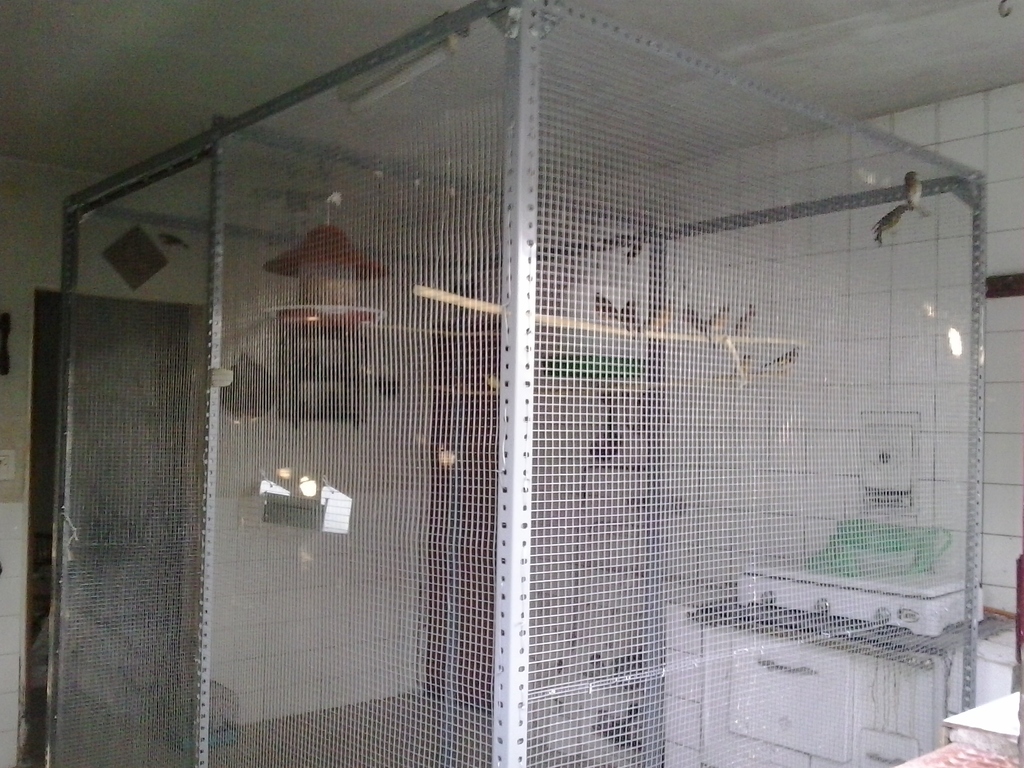2013-10-13 18.45.59.jpg