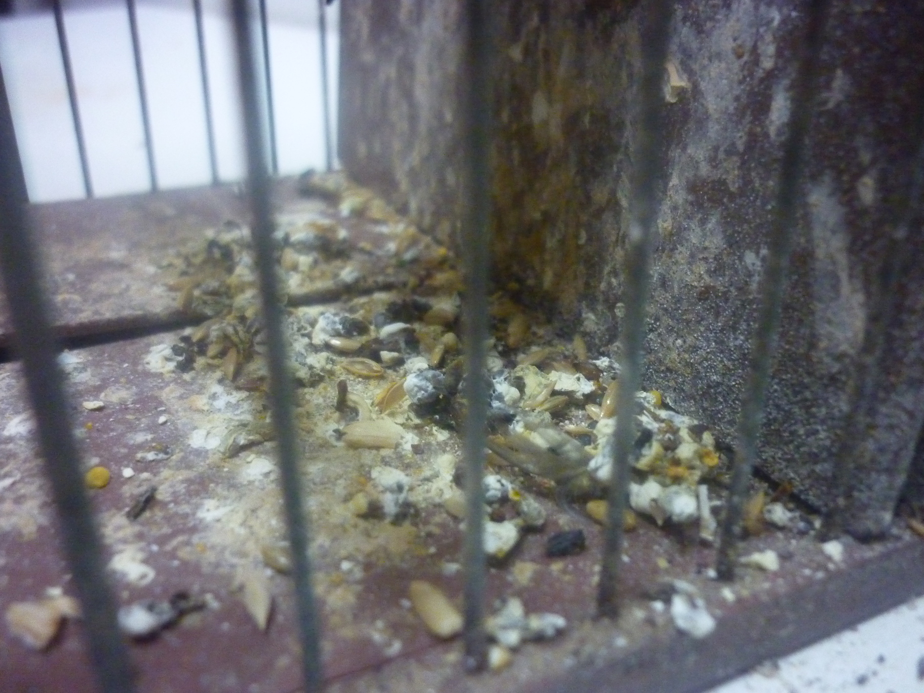 P1000748.JPG