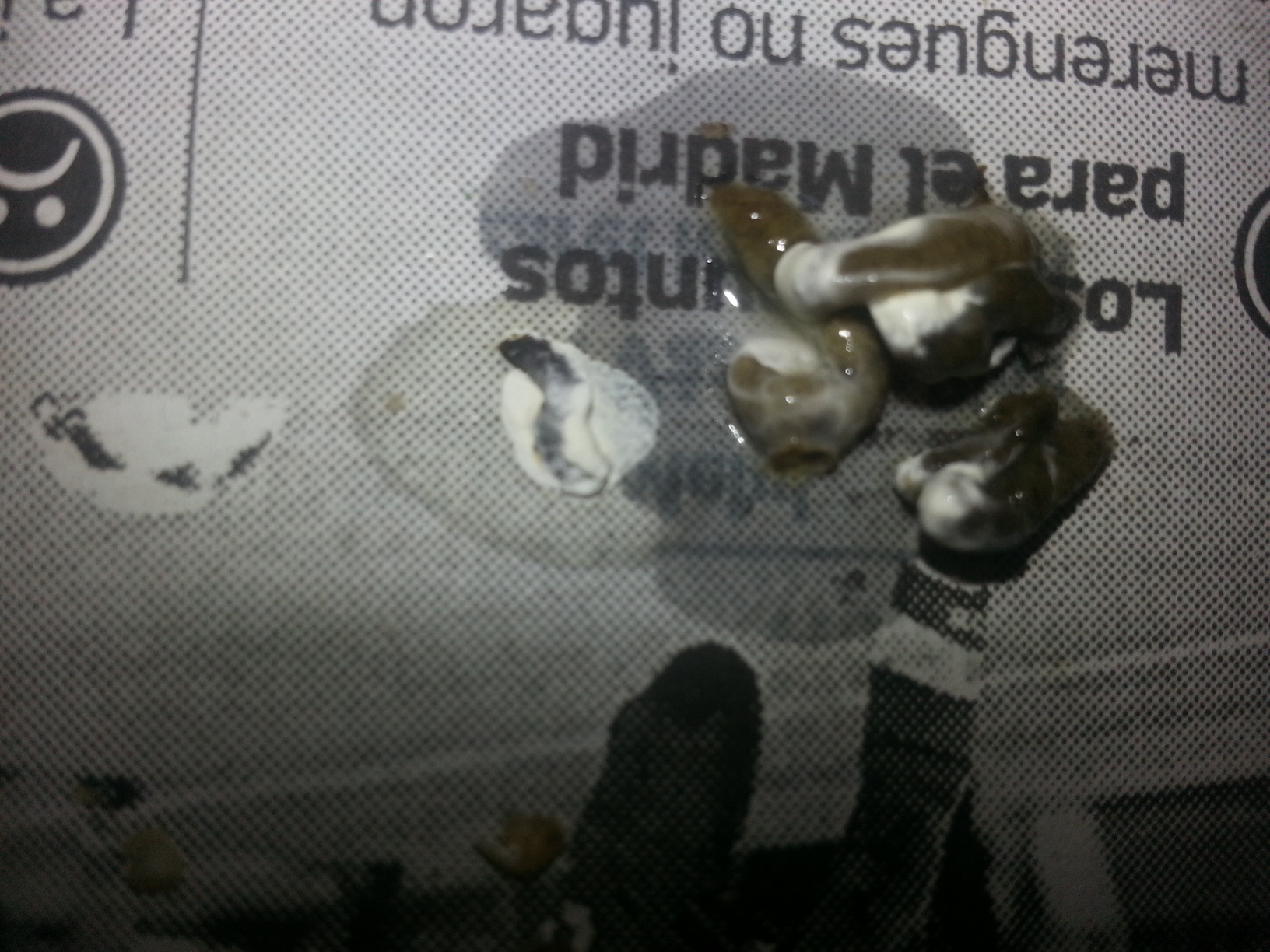 20140305_121552.jpg
