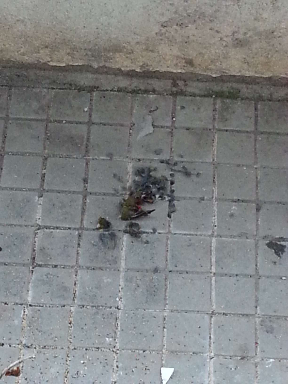 20140307_190619.jpg