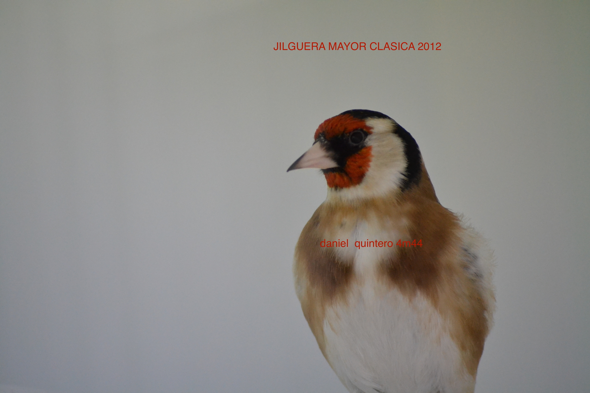DSC_0099.JPG