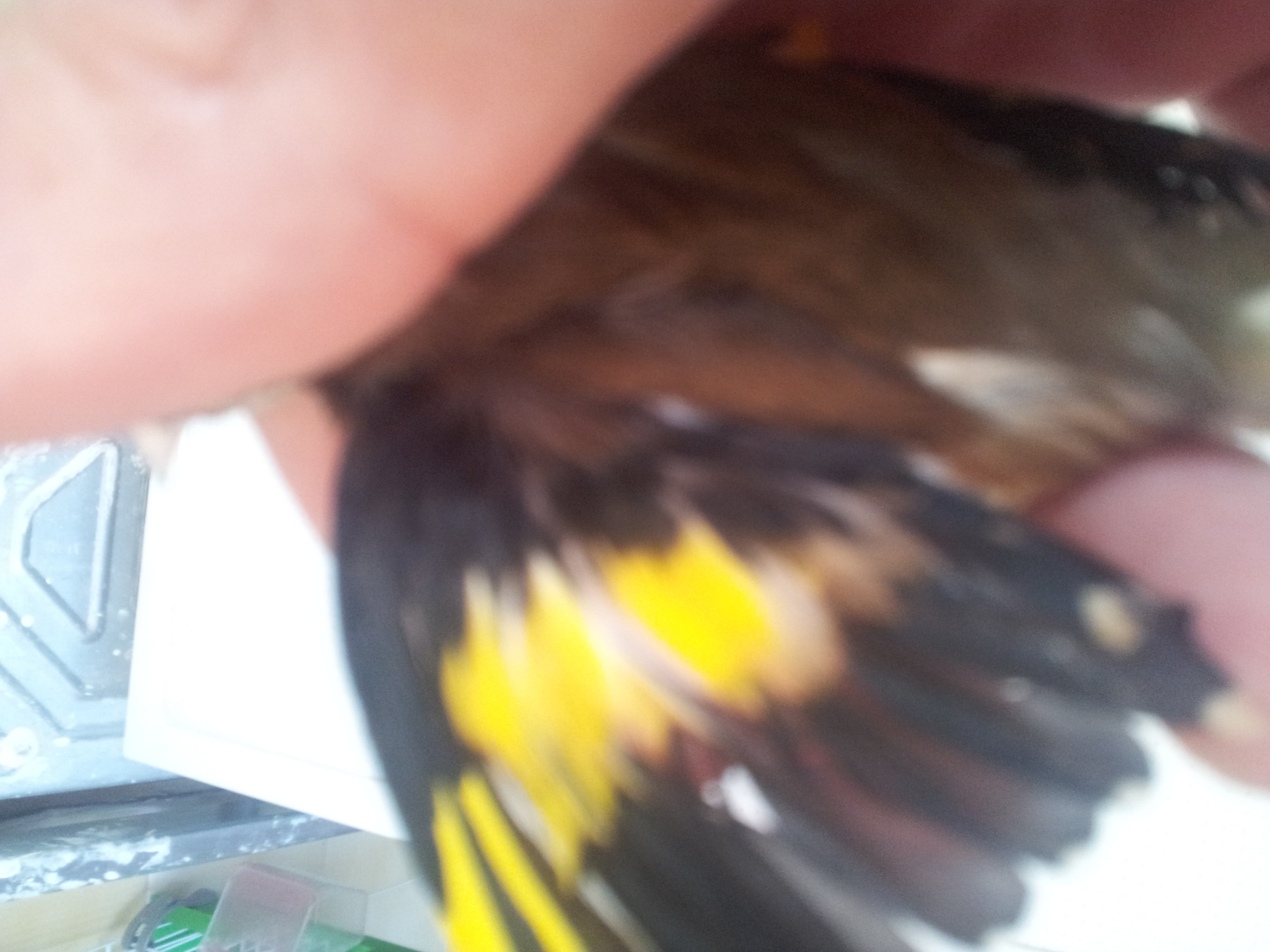 20140309_173917.jpg