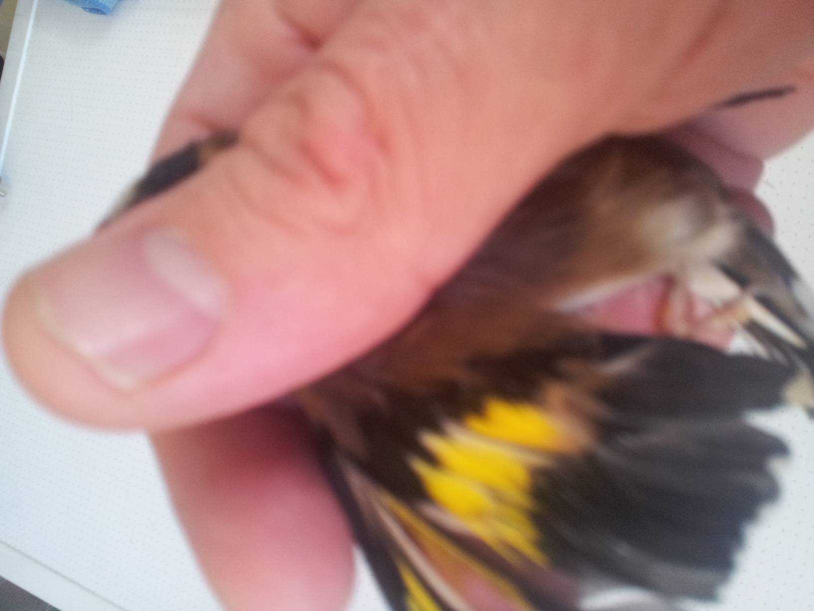 20140309_173826.jpg