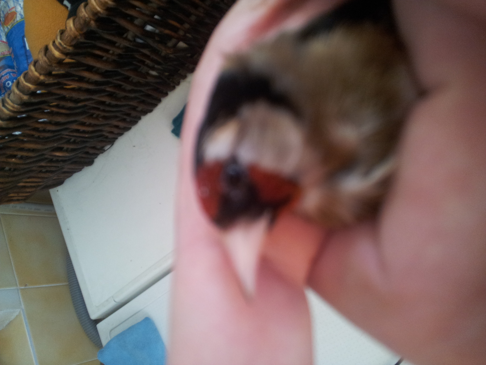 20140309_174006.jpg