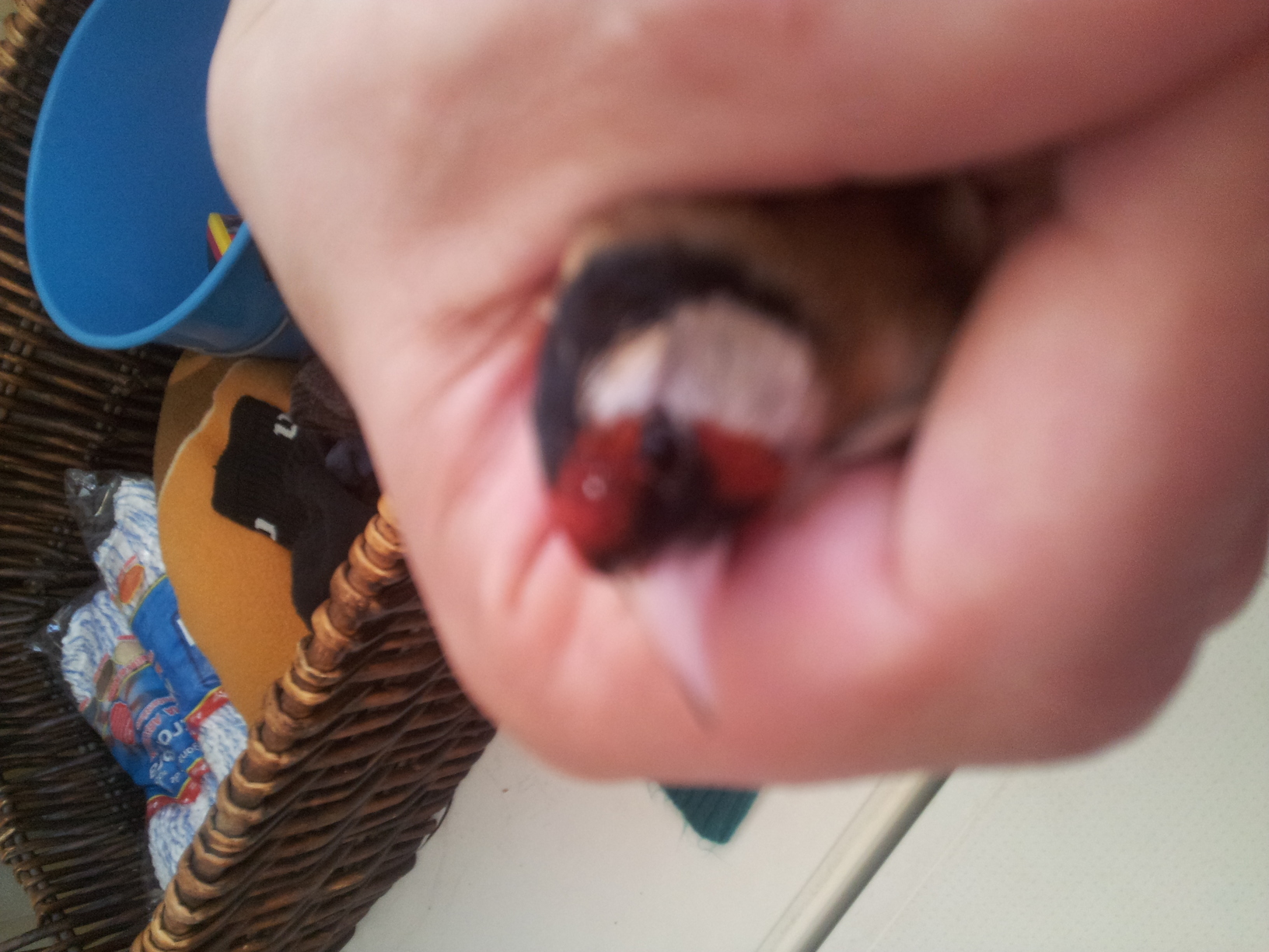 20140309_174016.jpg