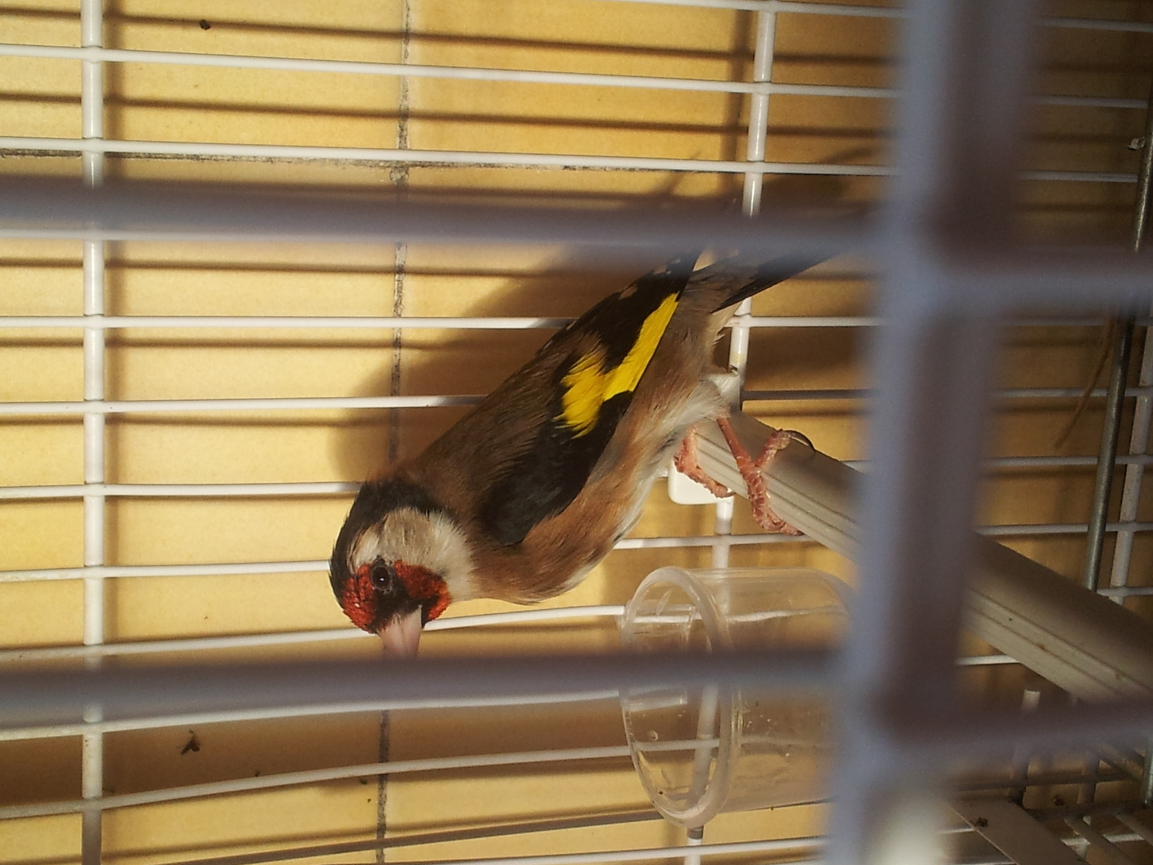 20140309_174105.jpg