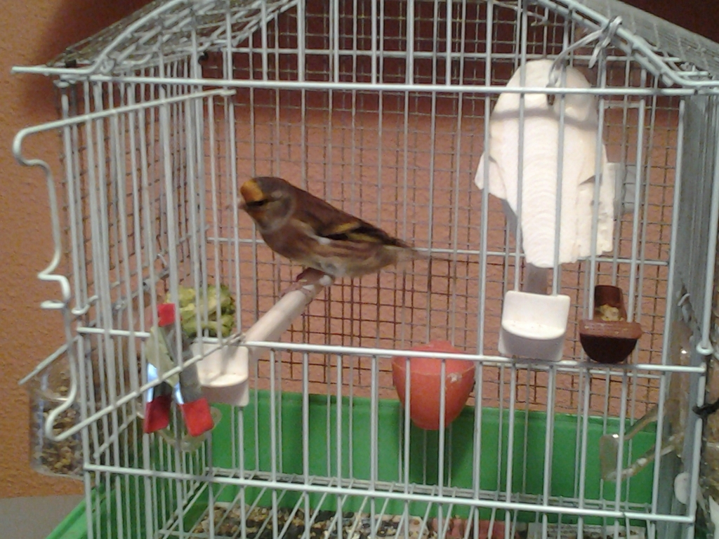 20140310_151452.jpg