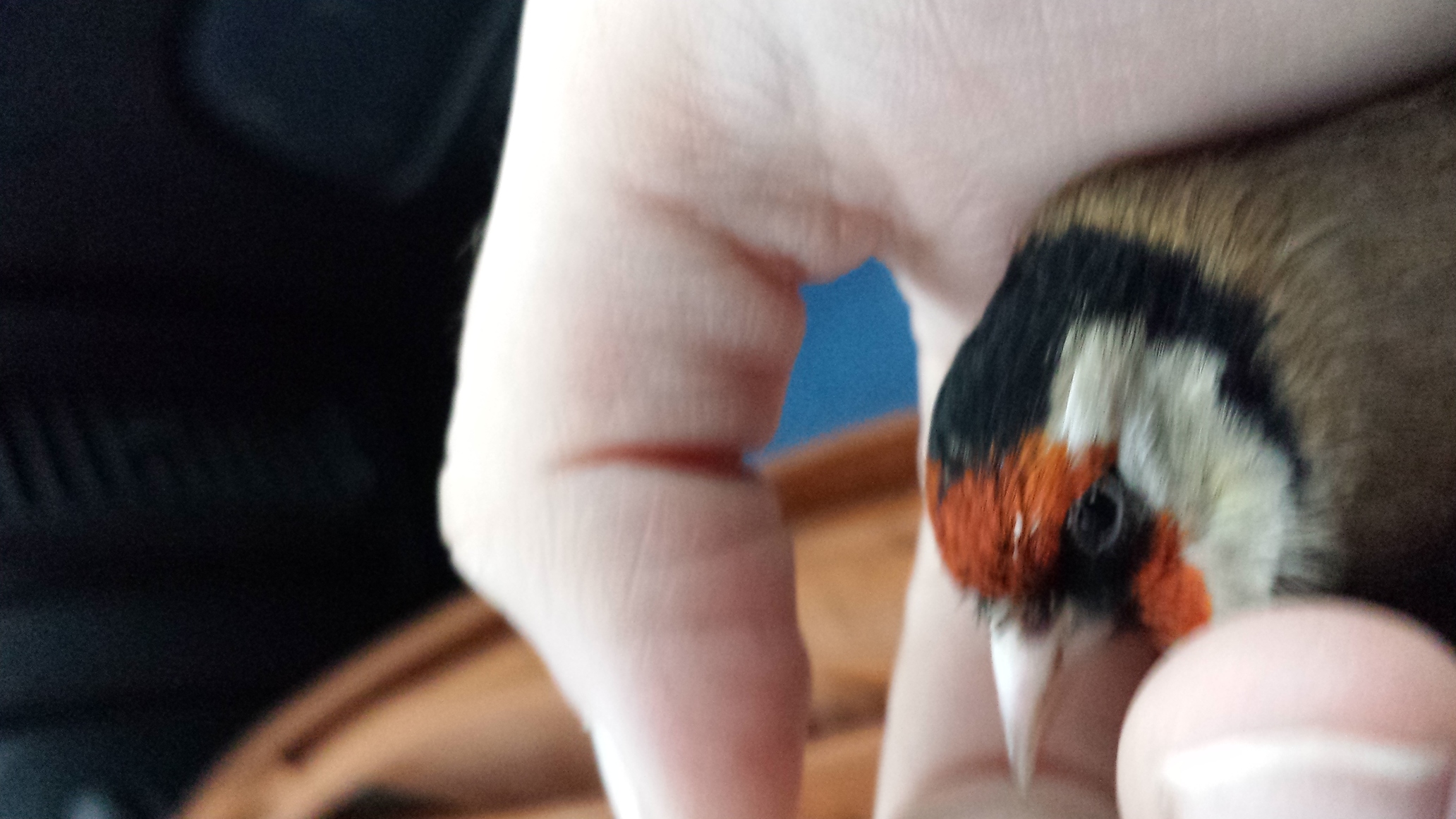 2014-03-03 17.56.25.jpg