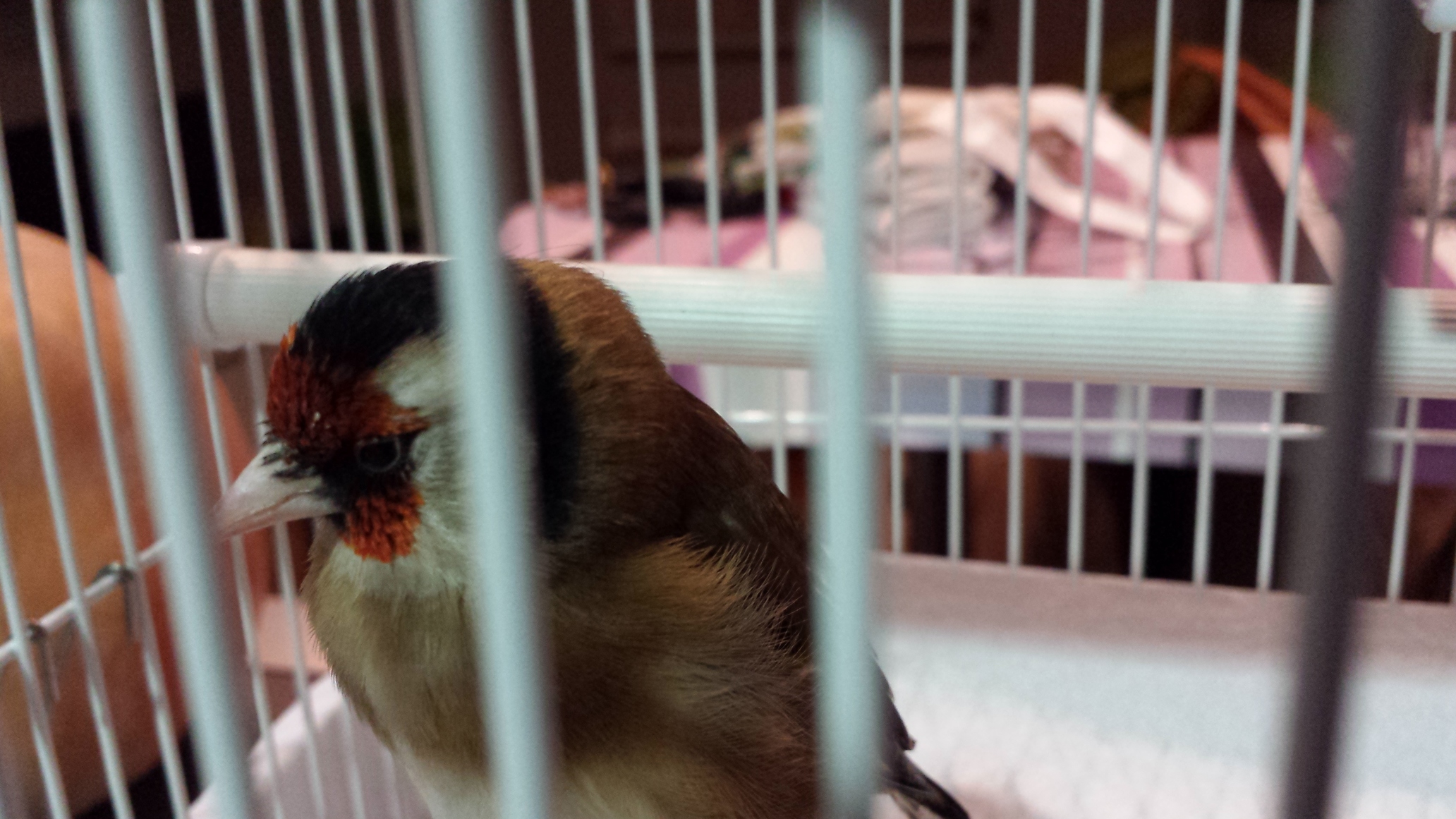 2014-03-03 20.02.18.jpg