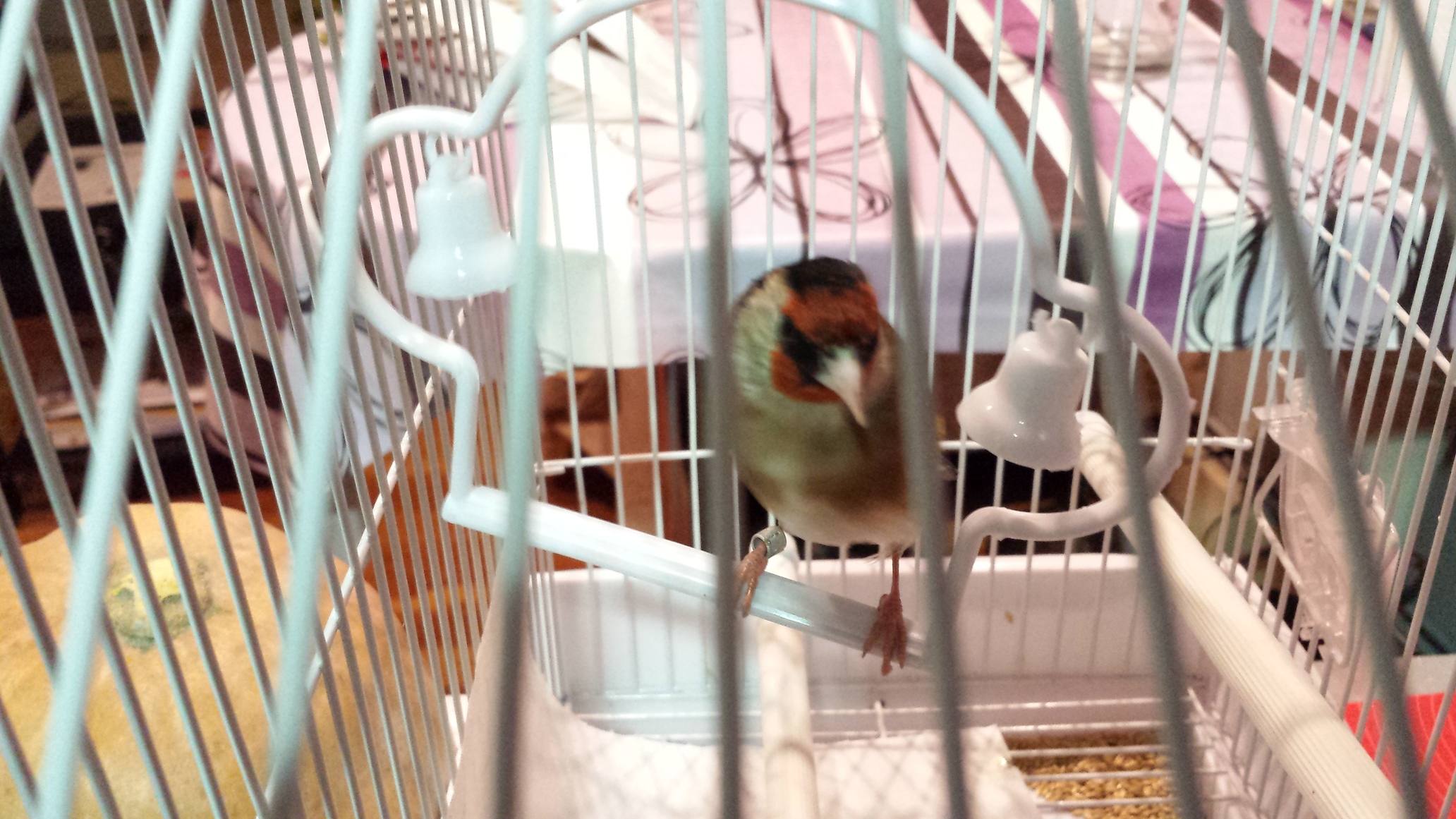 2014-03-03 19.48.54.jpg